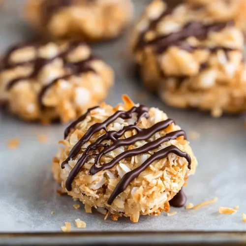 No Bake Samoa Cookies 5 Close-up hero shot of no bake samoa cookies showing toasted coconut and chocolate drizzle details