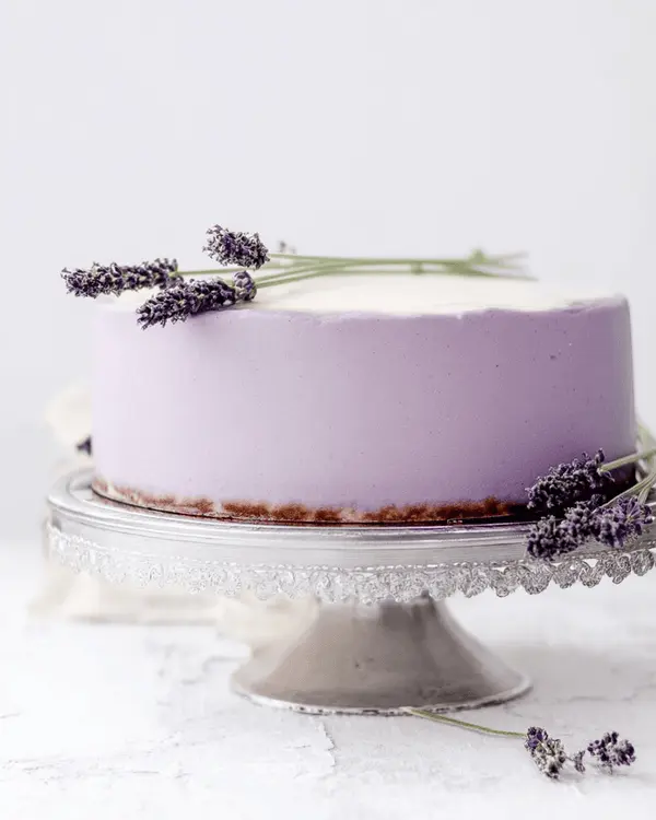 honey cheesecake
