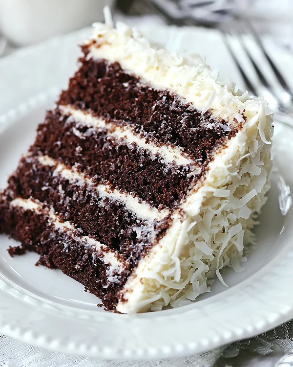The Ultimate Chocolate Coconut Cake Recipe 2 chocolate coconut layer cake
