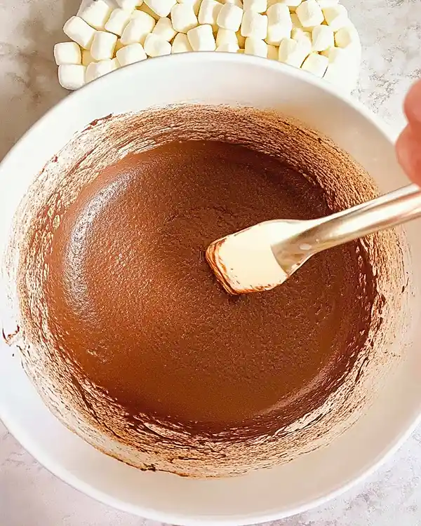 Chocolate Marshmallow Ice Cream how to