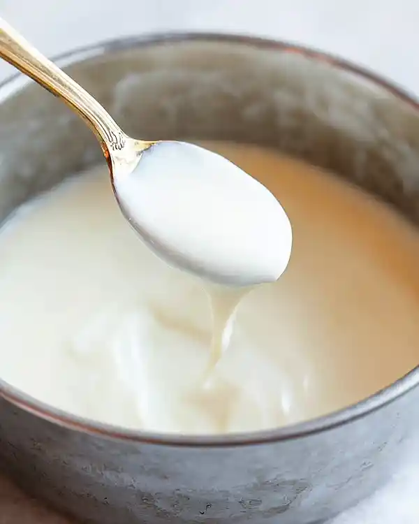 easy instant pot yogurt