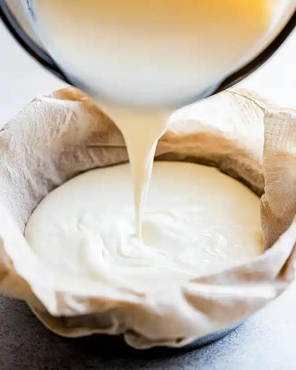 homemade instant pot yogurt