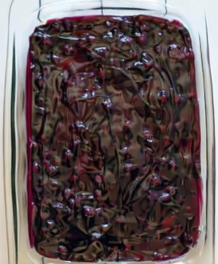 blueberry delight dessert