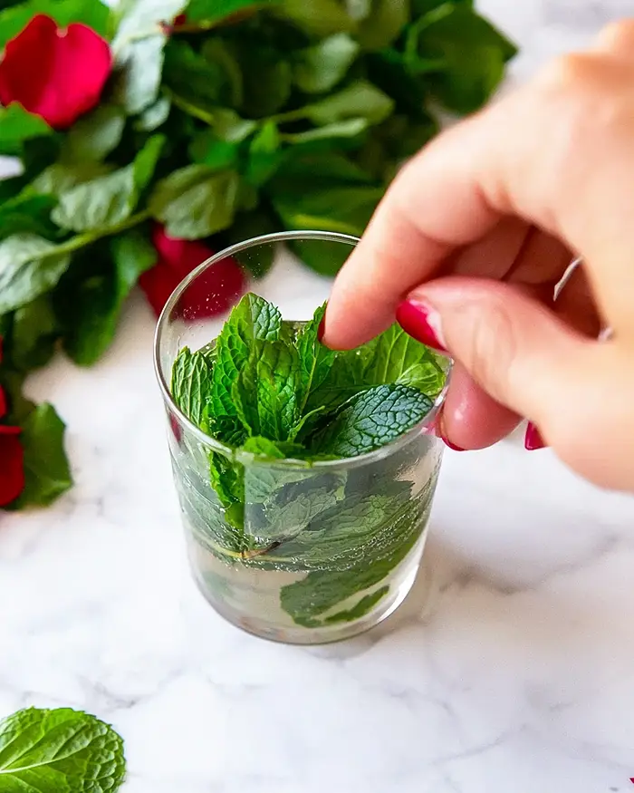 mint julep cocktail recipe