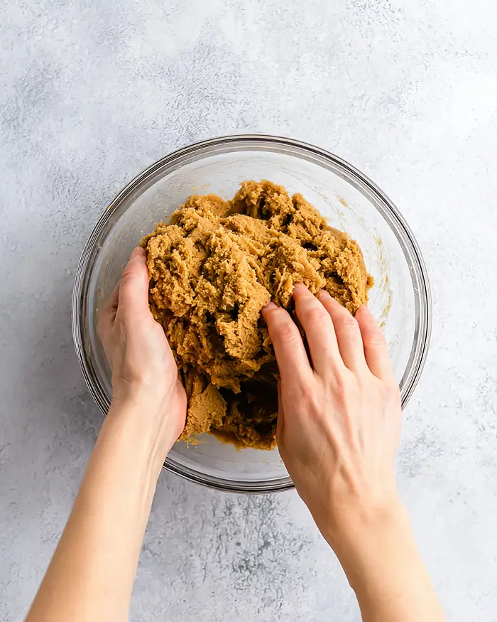 no bake chocolate peanut butter protein bars